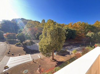 【展望】 | 厚木市森の里5丁目 中古戸建て | 南向きバルコニーからの眺望