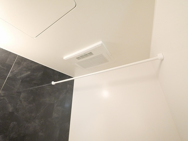 アルドーレのその他