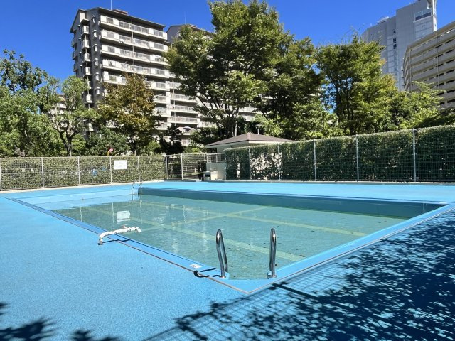 敷地内のプール。夏には子供たちが泳いでいる姿を見かけます。