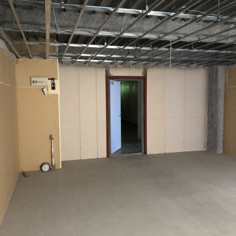 ライブビルのその他