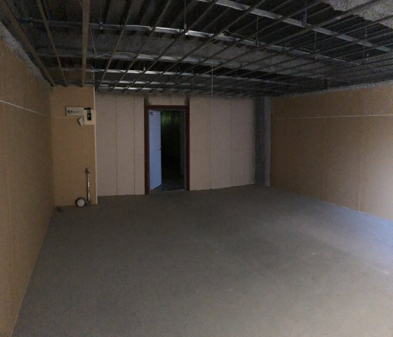 ライブビルのその他