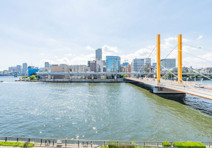 ナイスアーバン新大橋隅田川ステージの展望