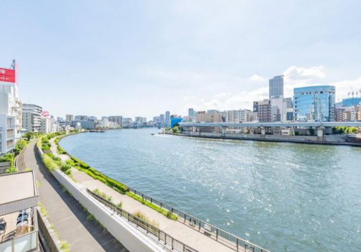 ナイスアーバン新大橋隅田川ステージの展望