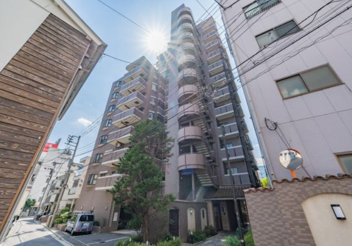 ナイスアーバン新大橋隅田川ステージの外観