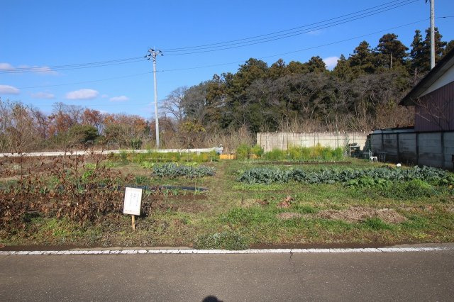 野木町野木の外観|南側より（2021年12月撮影）