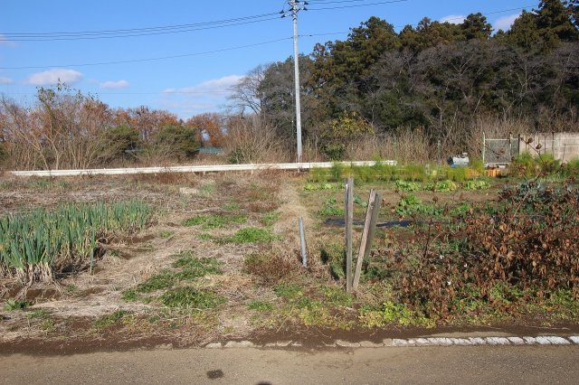 野木町野木の外観|西側境界部分（2021年12月撮影）