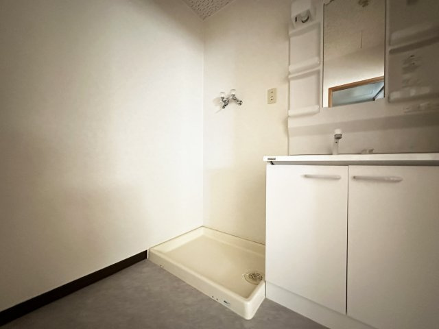 パークサイド葛島の洗面所