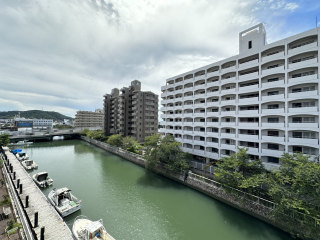ネオクレメントの展望