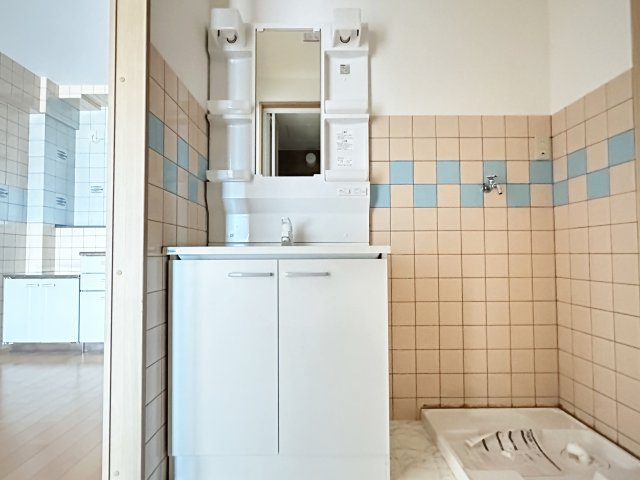 ドリームハウス2の独立洗面台