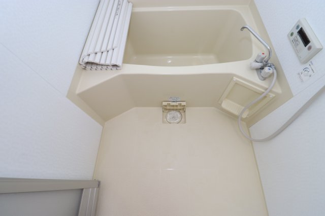 ロイヤルリバーの浴室