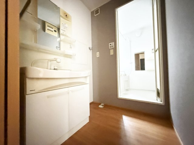 サンハイム C棟の洗面所