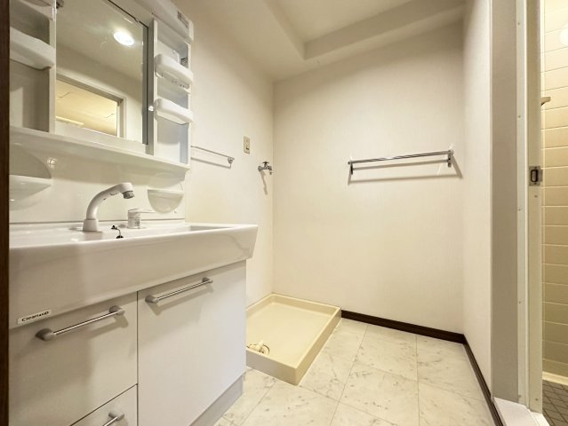 グランドール桜井の洗面所