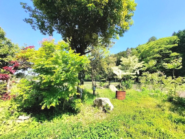 【庭】の画像