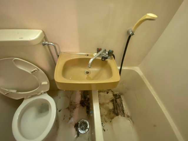 fメゾン池下の洗面所|fメゾン池下