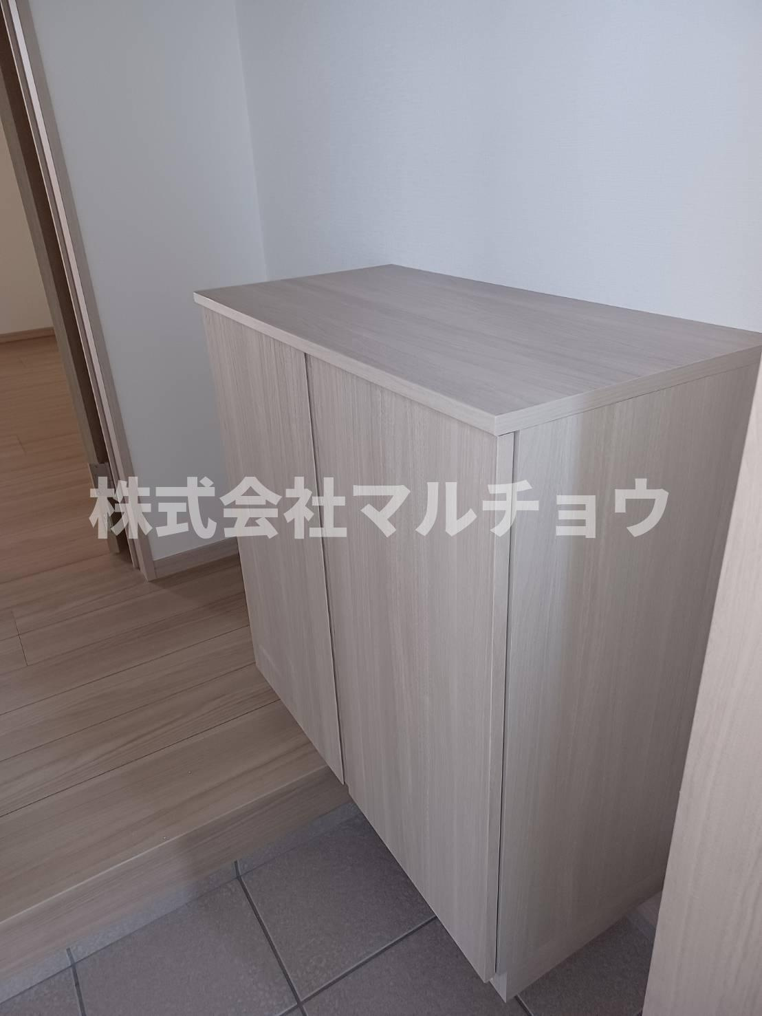 マンションEX XⅢの玄関|収納もある玄関です