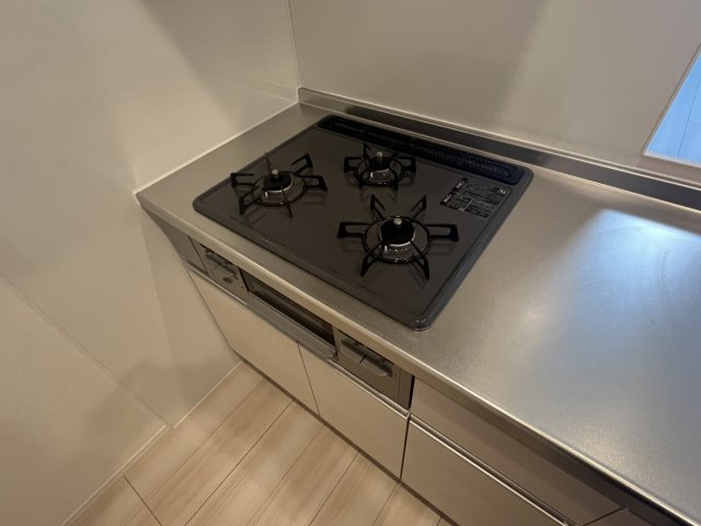 ルートサンヨウのその他