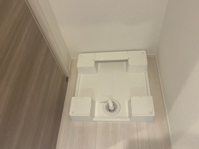 ルートサンヨウの内装