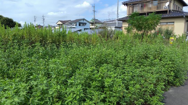 ６３９３０　羽島市正木町曲利土地の外観