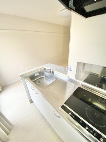 レオネクストトレフールのキッチン