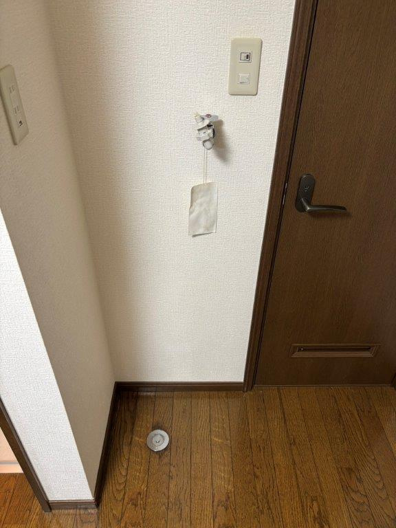 メゾンシーダの洗面所