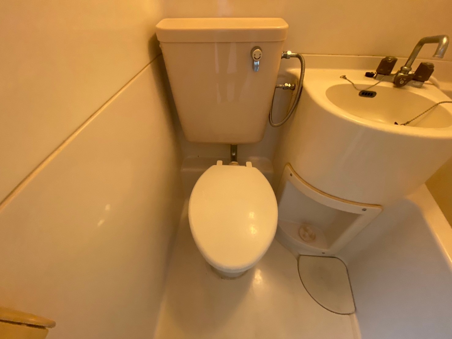 fメゾン振甫のトイレ|fメゾン振甫