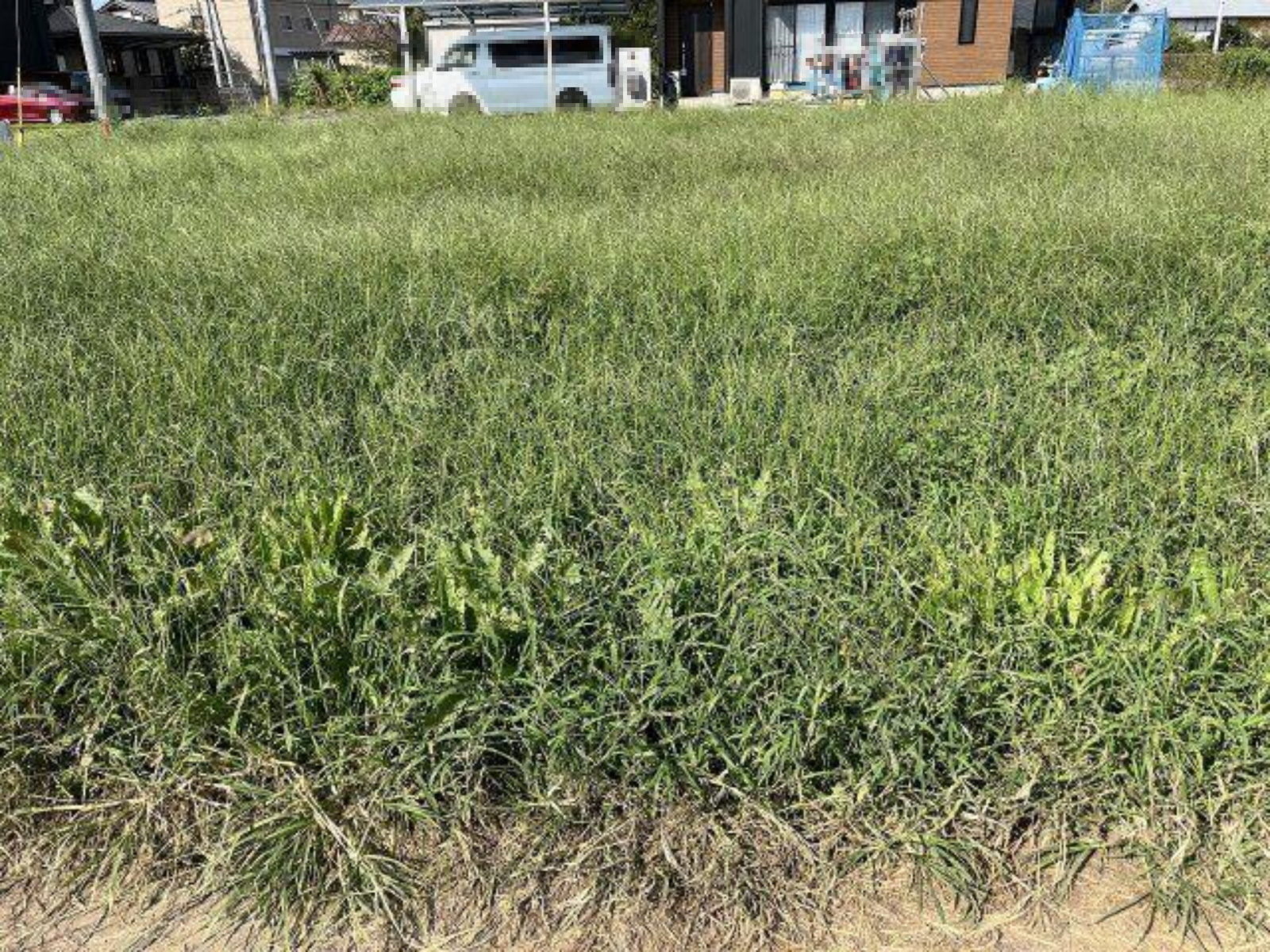 結城市結城　A区画の外観|南から