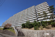 泉北星和台コーポラスの画像