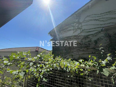 【展望】 | Green Bell Hills