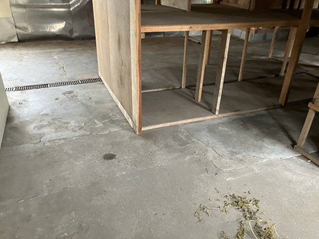 中郡大磯町国府新宿の店舗の内装