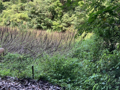 【外観】 | 犬迫町　資材置き場