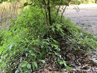 【外観】 | 犬迫町　資材置き場