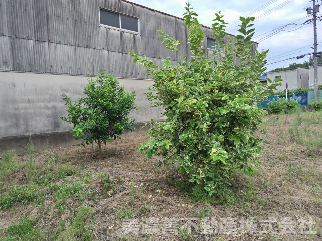 ６３９０５　岐阜市雄総桜町４丁目土地の外観