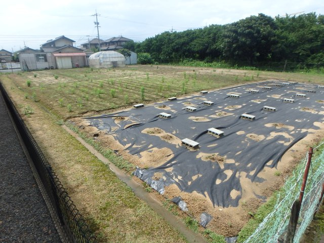 神田売地の外観