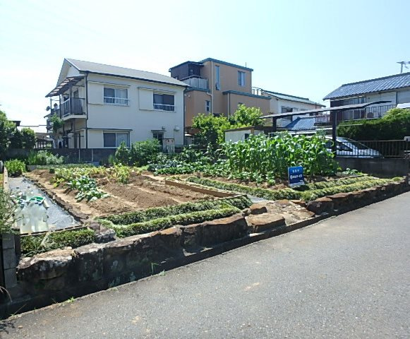 加古川市平岡町土山　土地の外観|整形地