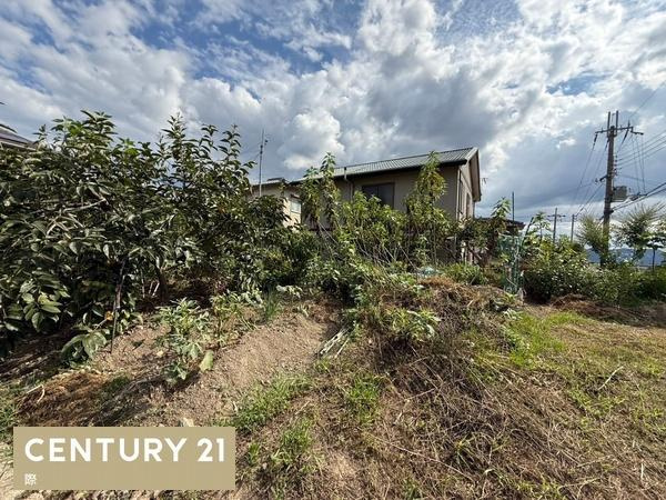 岩出市今中　土地のその他