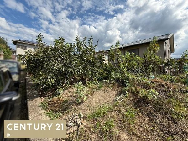 岩出市今中　土地のその他