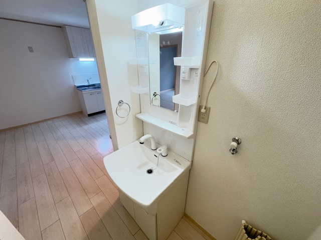 エステートピア桐の洗面所