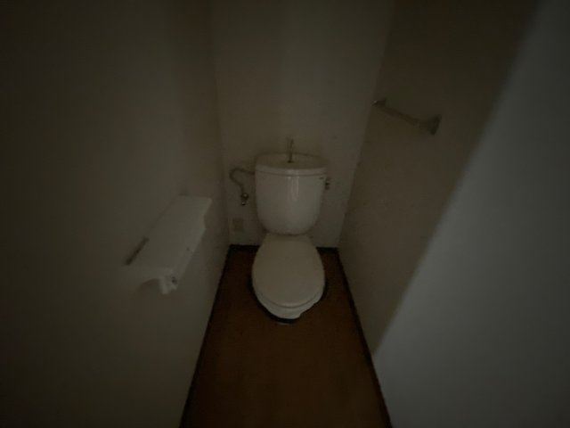 ディアス六百目Ａのトイレ
