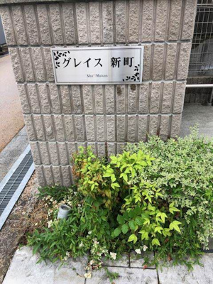 【その他】 | グレイス新町