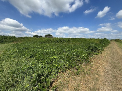 【外観】 | 加西市中野町　農業振興地域　農地1
