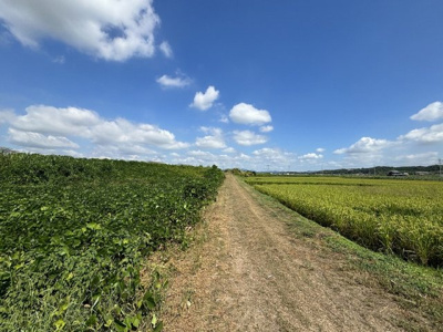 【外観】 | 加西市中野町　農業振興地域　農地1