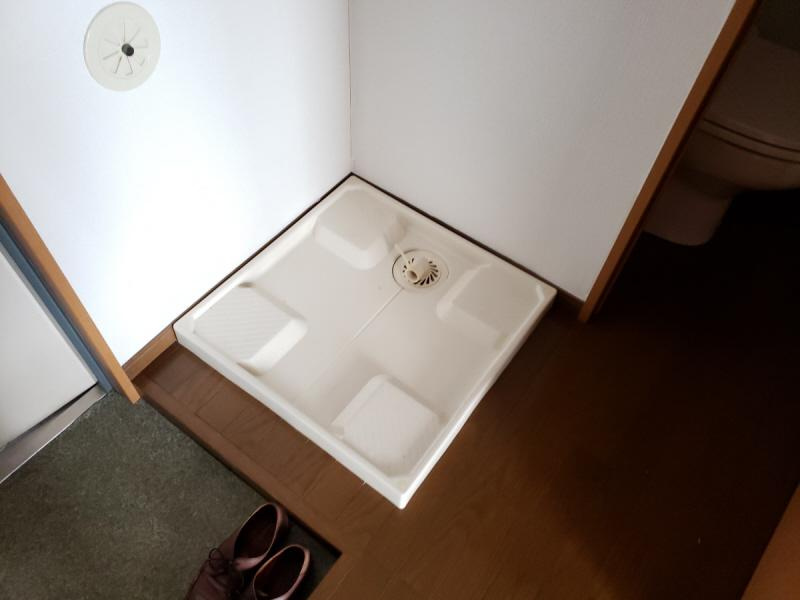 パフィオMSのその他