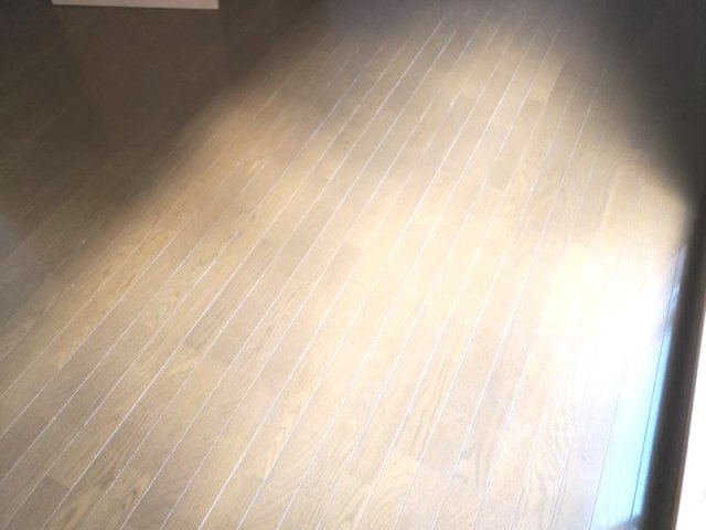 パフィオMSの内装