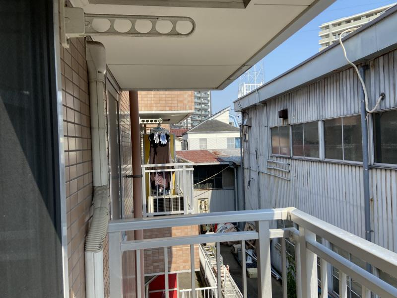 パフィオMSの展望