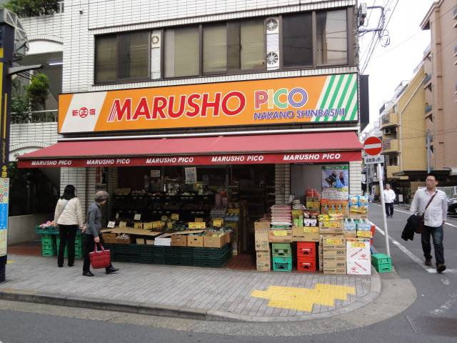 プラザUSA中野新橋の周辺