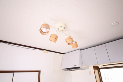 【その他】 | 風と春色のルピシア | ダウンライト