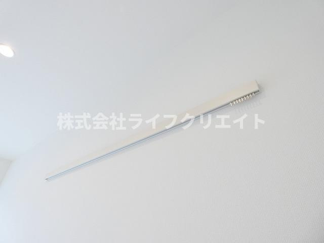 リブリ・ラピスカーサのその他