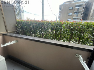 クリスタルカーサ2のその他物件画像