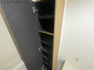 クリスタルカーサ2の収納