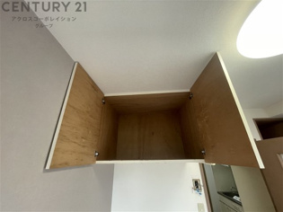 クリスタルカーサ2の収納